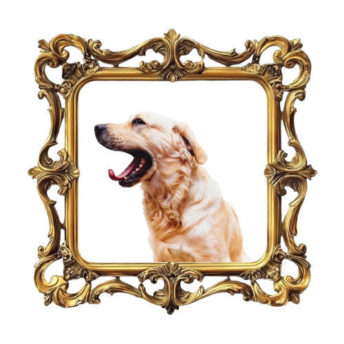Meet the Dogs